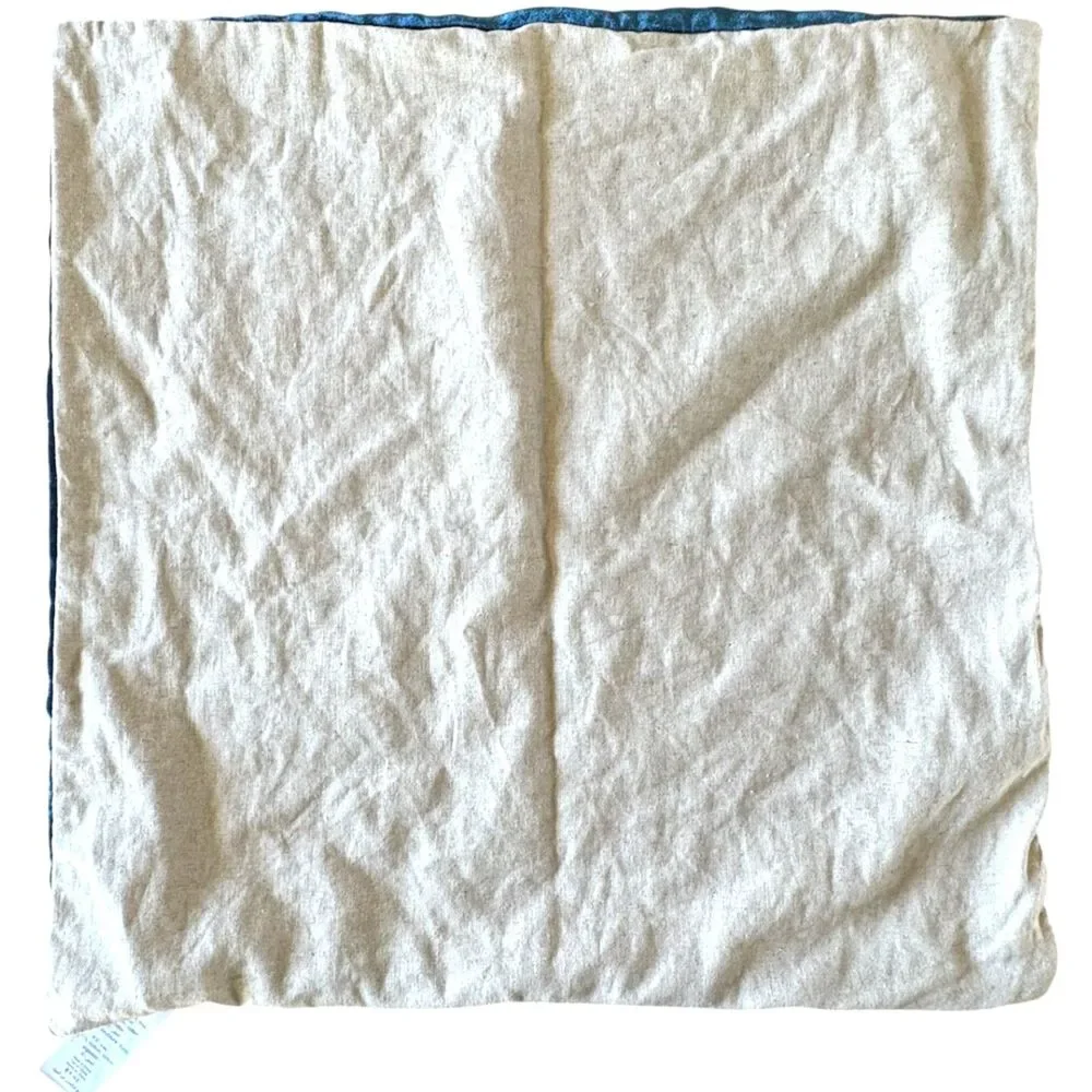 West Elm Lush Velvet Pillow Cover 20x20 Blue Neutral Reverse 20x20 Square